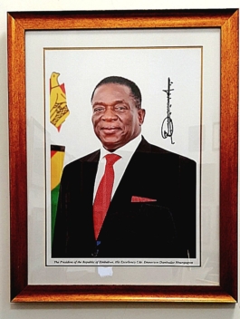 Presidential Portrait