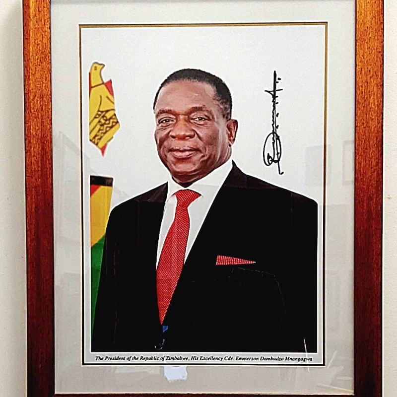 Presidential Portrait
